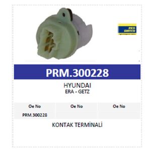 Hyundai Era Getz Kontak Terminali 300228